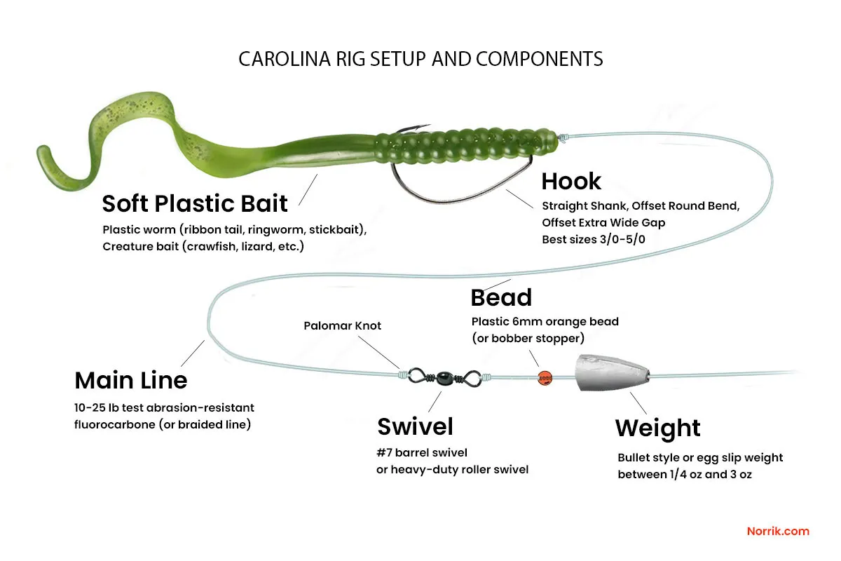 The Carolina Rig for late summer bass fishing